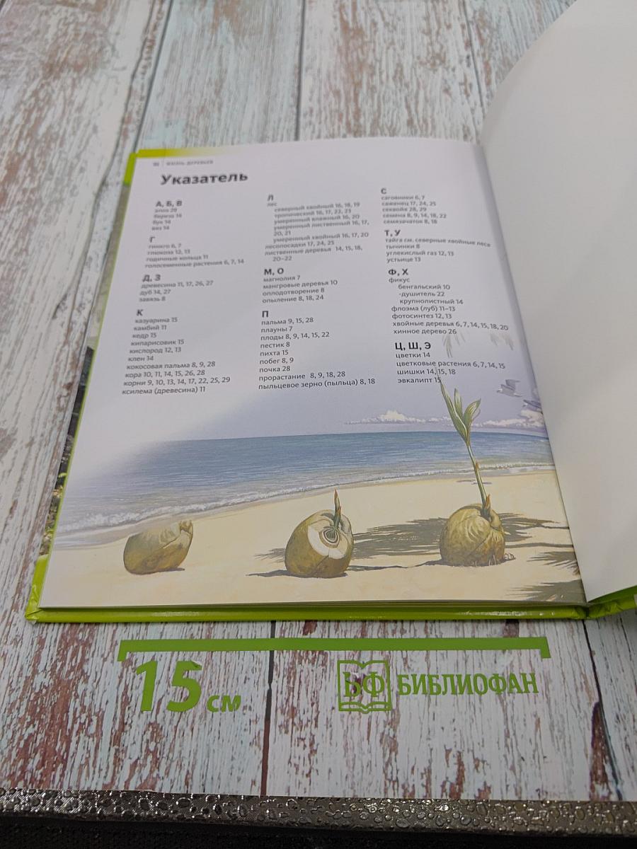 Жизнь деревьев