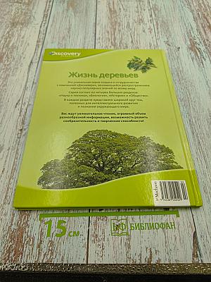 Жизнь деревьев