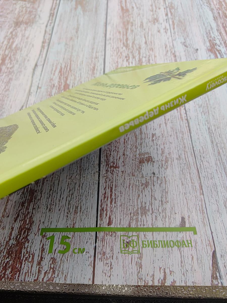 Жизнь деревьев