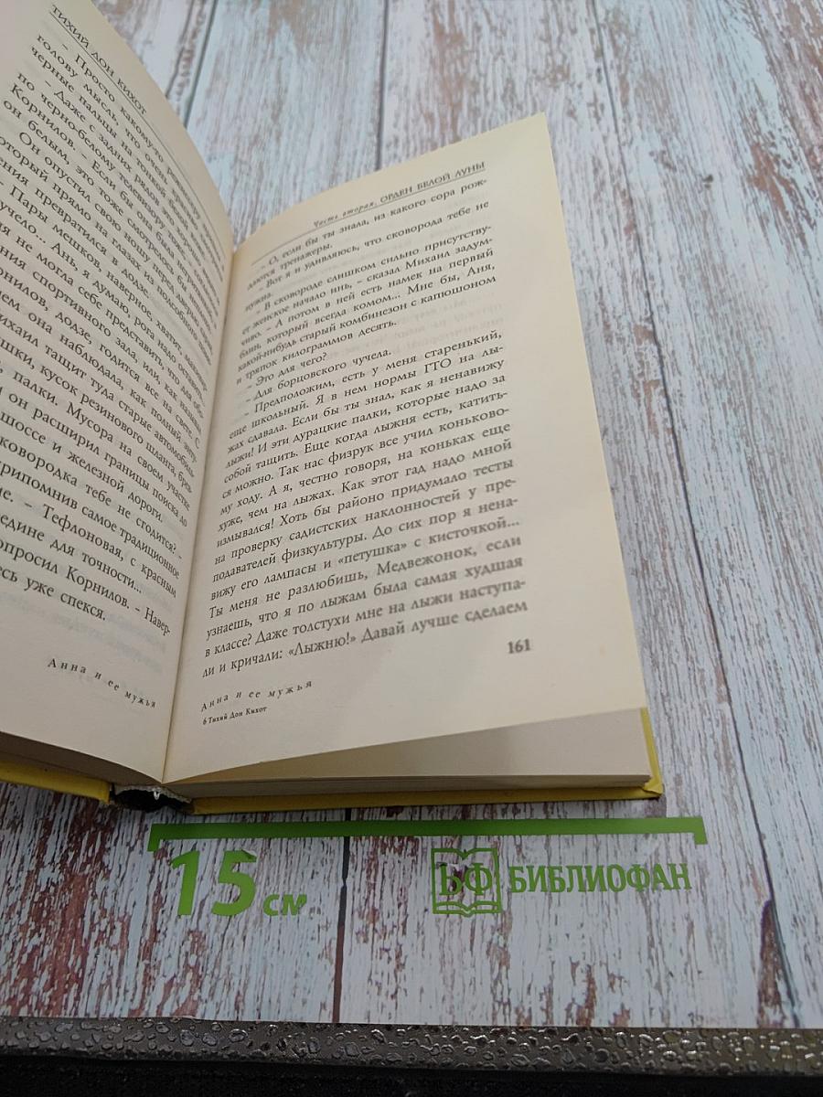 Тихий Дон Кихот