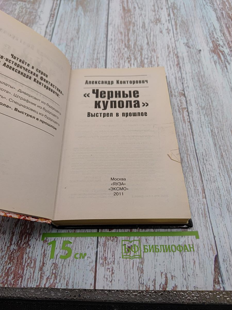 Черные купола. Выстрел в прошлое