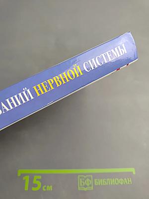 Лечение заболеваний нервной системы. Мой путь исцеления