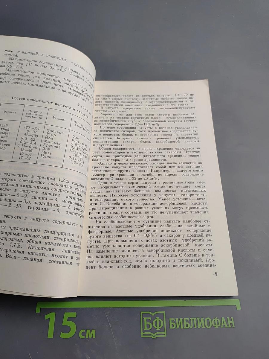 Овощи и их пищевая ценность