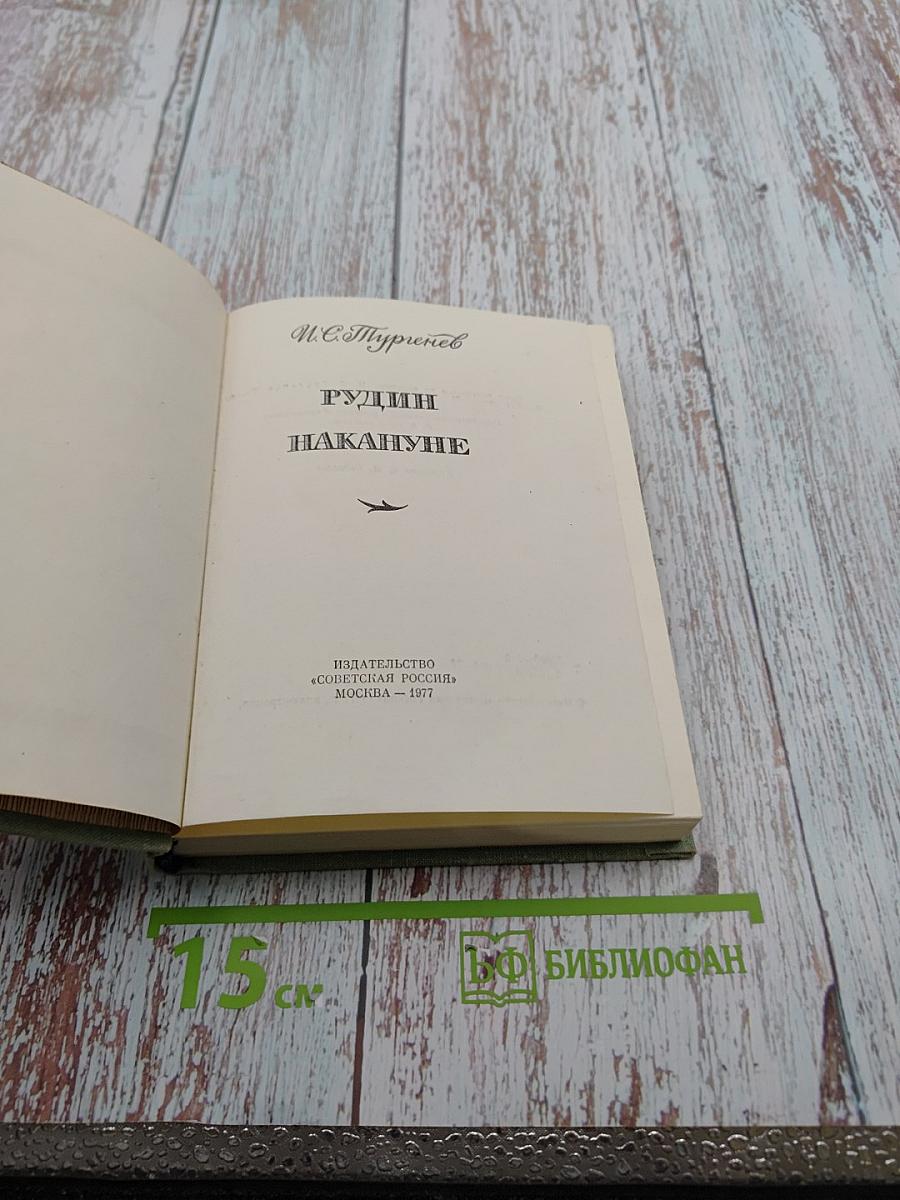 Рудин. Накануне