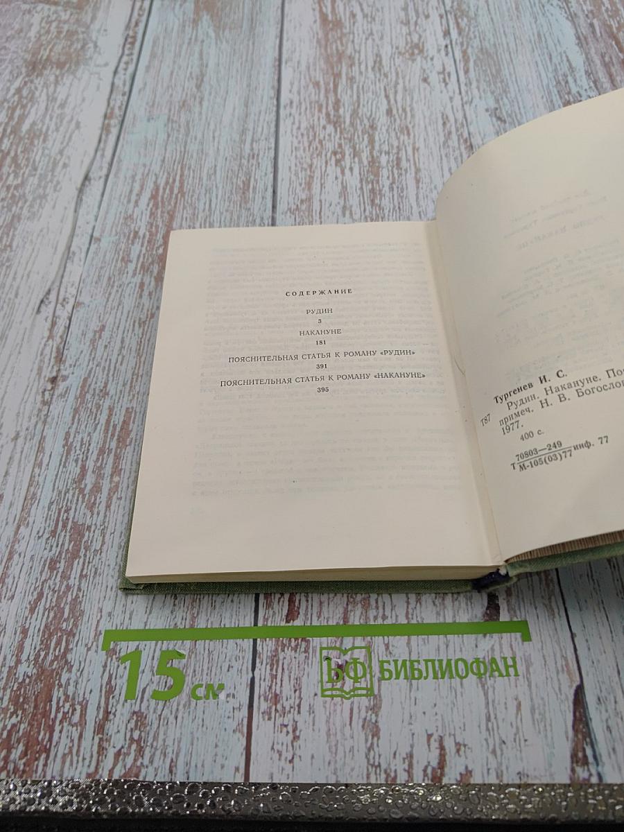 Рудин. Накануне