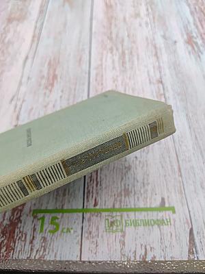 Рудин. Накануне