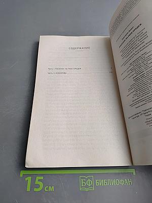 Поселок на реке Оредеж