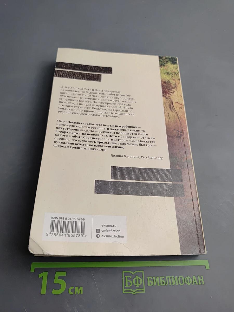 Поселок на реке Оредеж