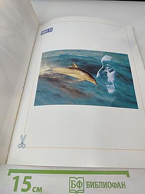 Reading & Writing Targets 2