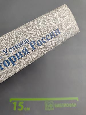 Политическая история России. От становления самодержавия до падения Советской власти