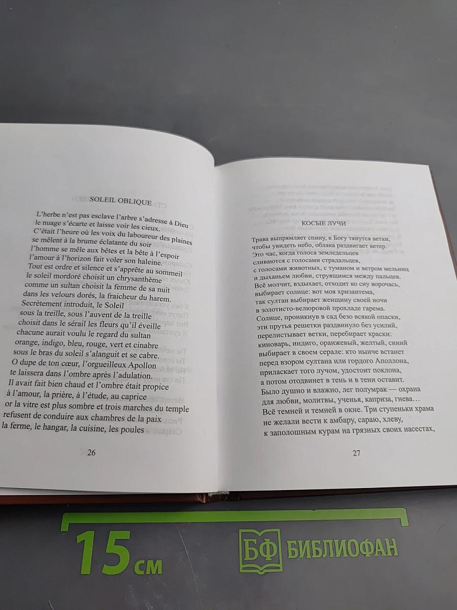 Стихотворения / Poésies