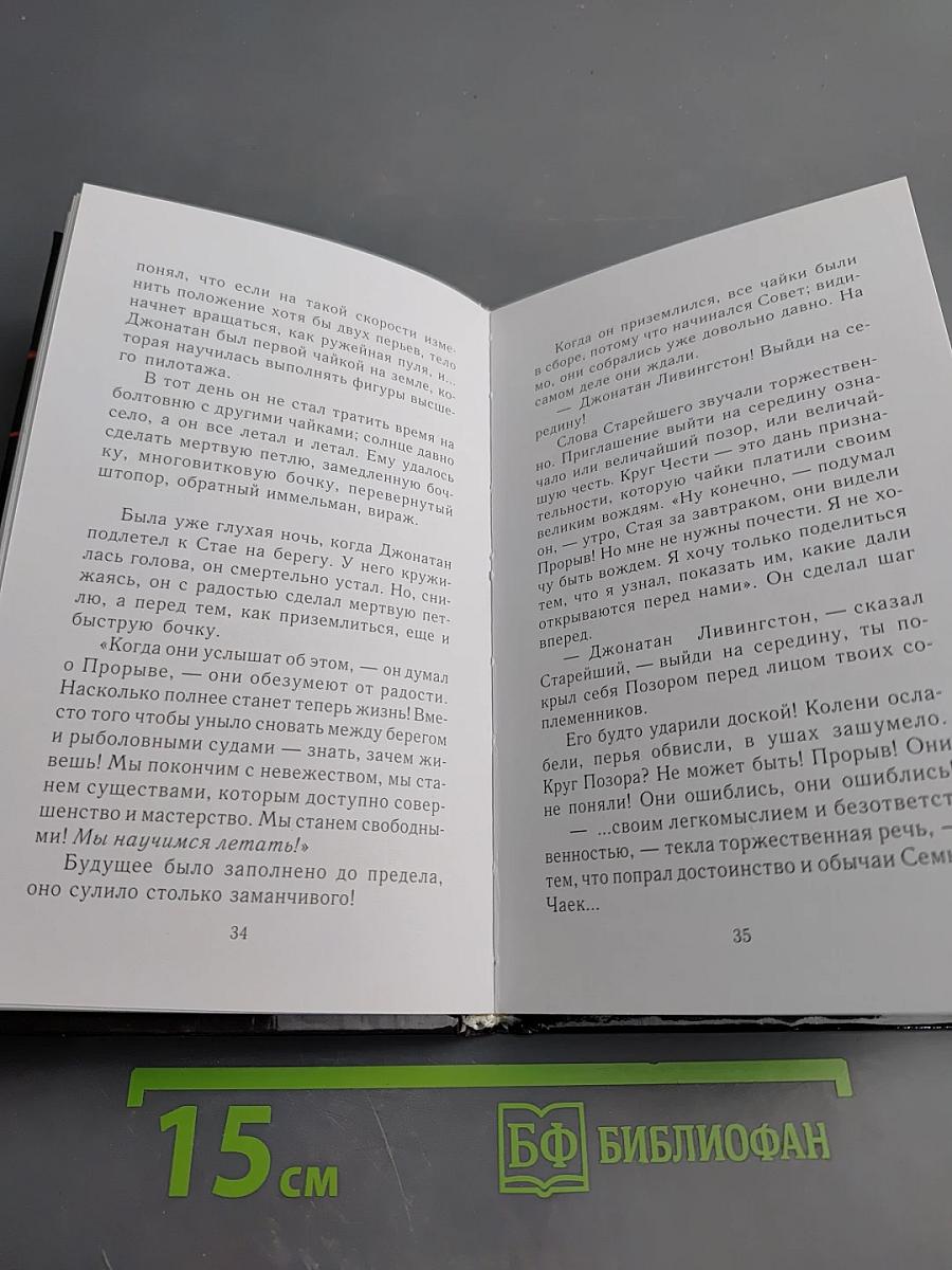 Чайка по имени Джонатан Ливингстон