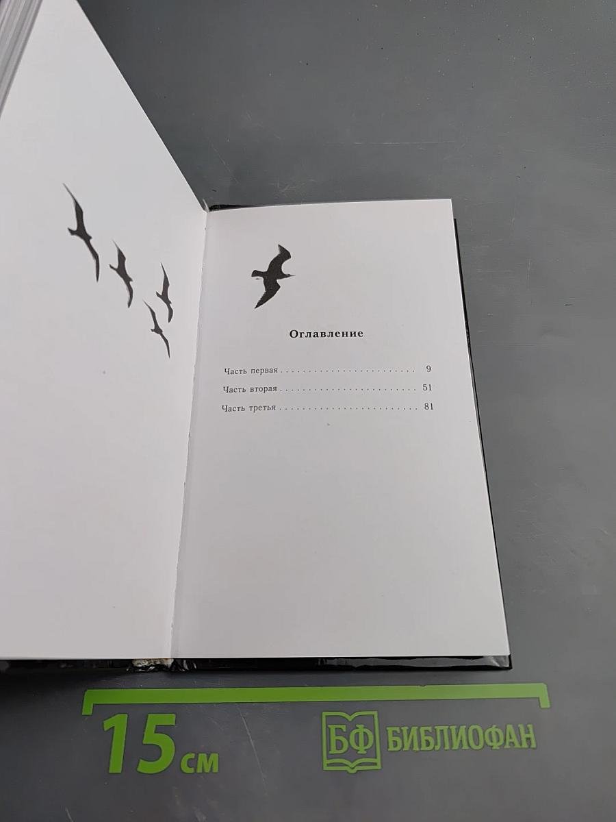 Чайка по имени Джонатан Ливингстон