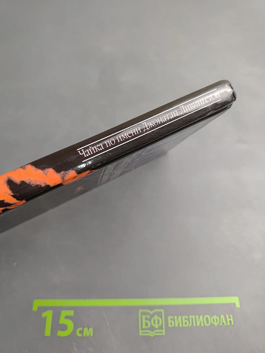 Чайка по имени Джонатан Ливингстон