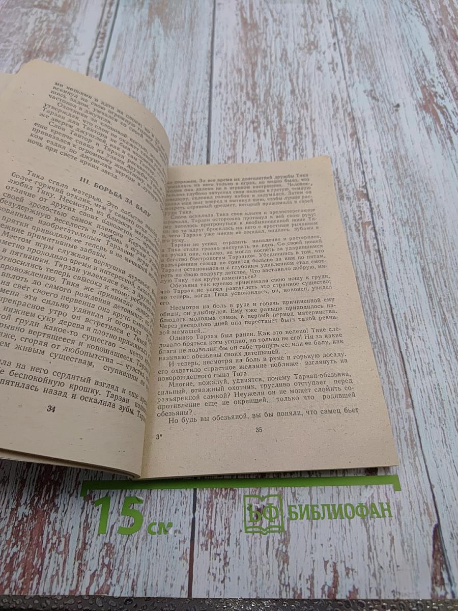 Приключения Тарзана в джунглях