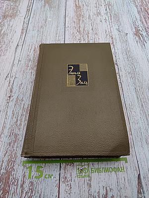 Собрание сочинений. Том восьмой: Ругон-Маккары. Накипь