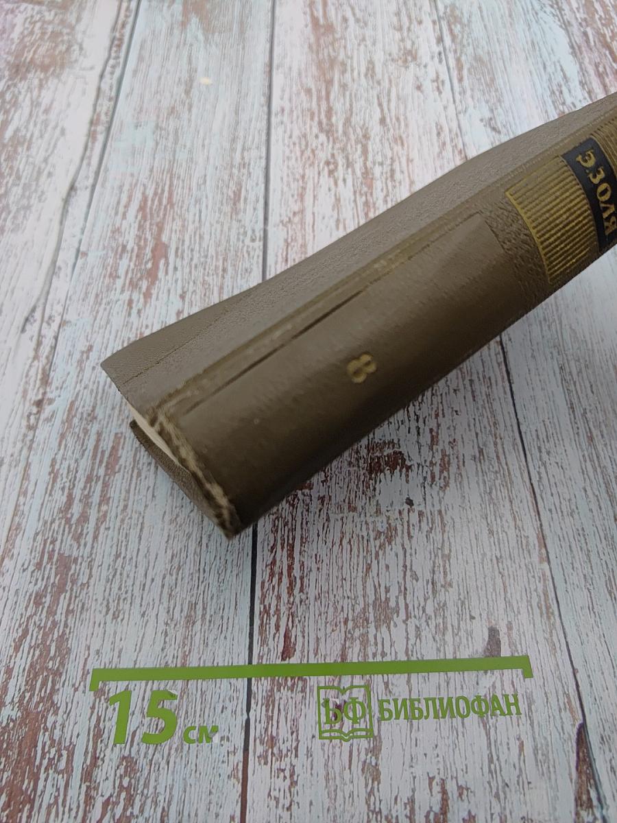 Собрание сочинений. Том восьмой: Ругон-Маккары. Накипь