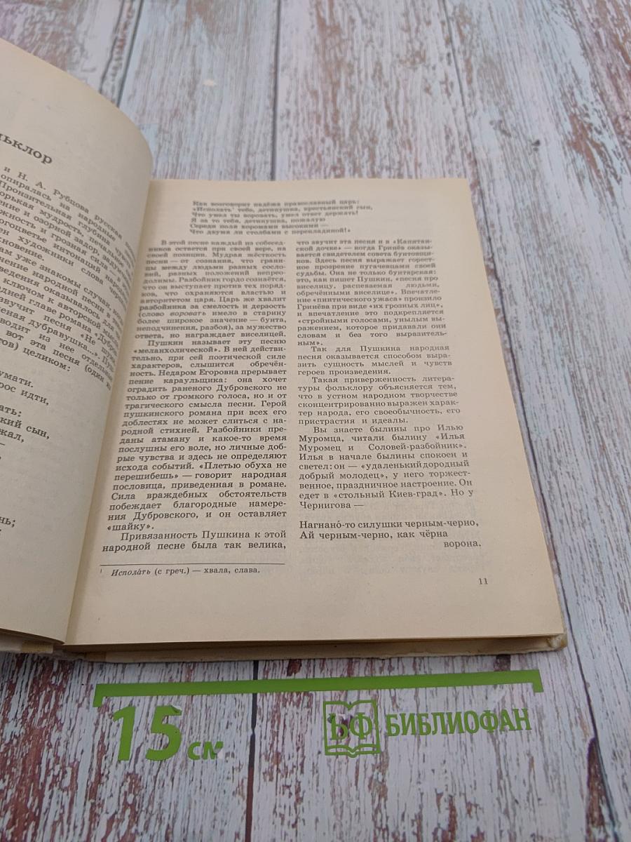 Литература 9. Учебное пособие для 9 класса средней школы