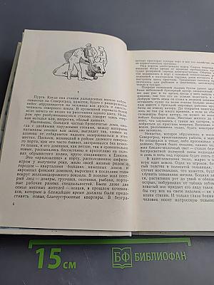 Североград