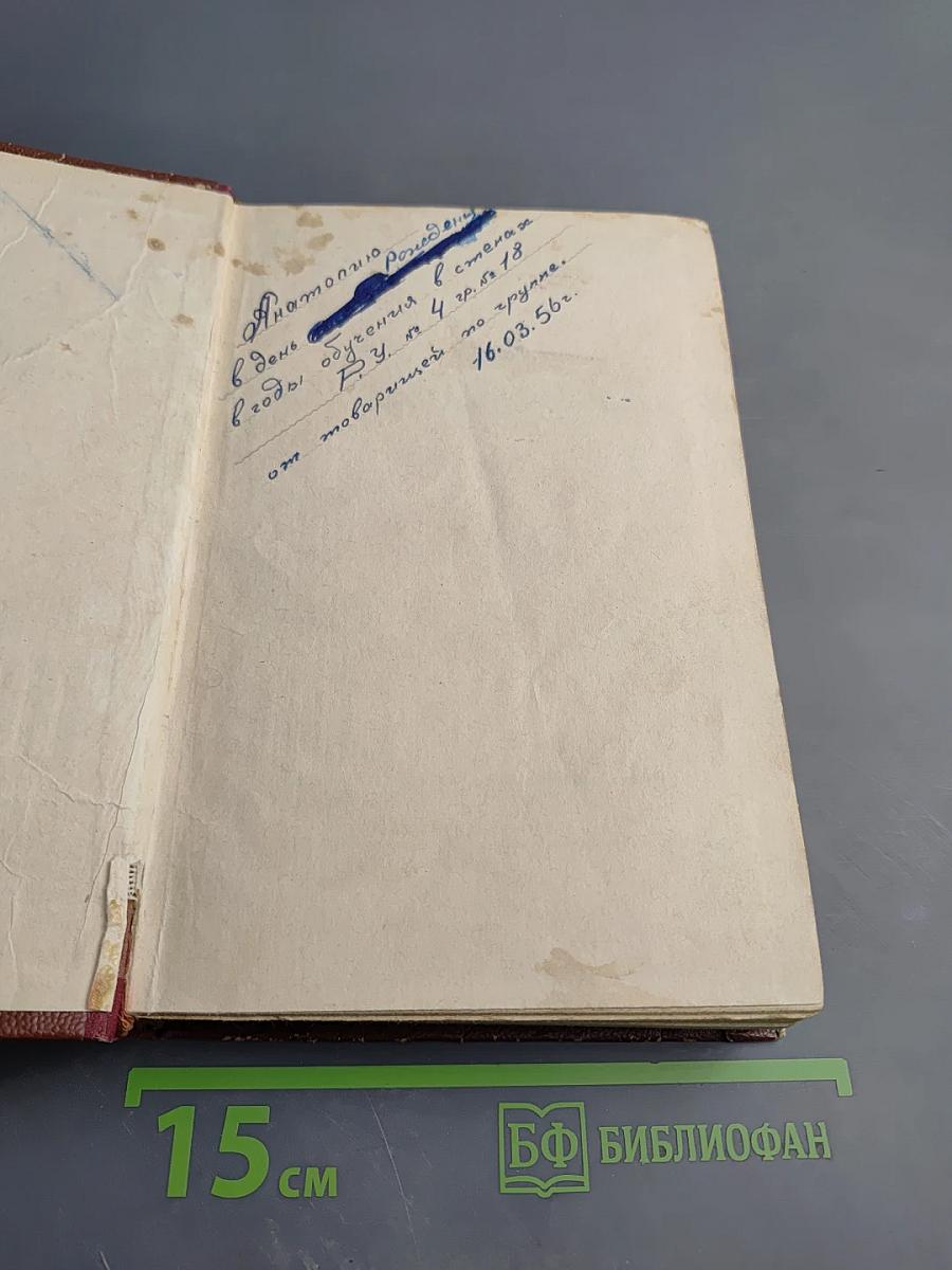 Поджигатели. Книга вторая