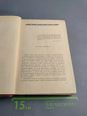 Поджигатели. Книга вторая