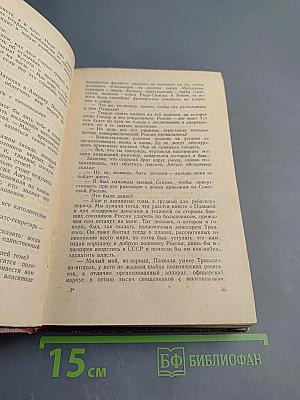 Поджигатели. Книга вторая