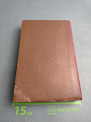 Поджигатели. Книга вторая