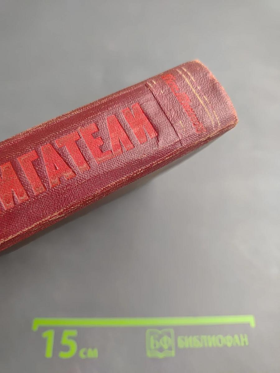 Поджигатели. Книга вторая