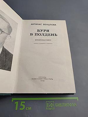 Буря в полдень