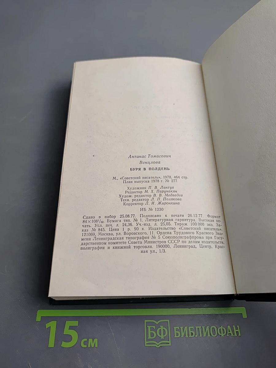 Буря в полдень