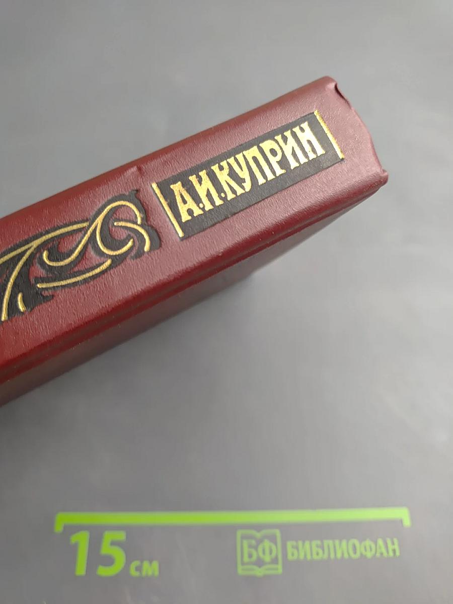 Собрание сочинений Том четвертый. Повести, рассказы, очерки 1913-1916 гг.