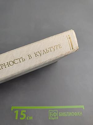 Полярность в культуре