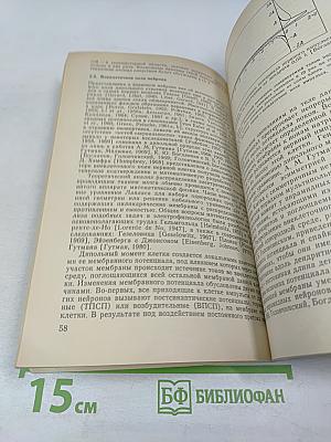 Биофизические механизмы формирования электроэнцефалограммы