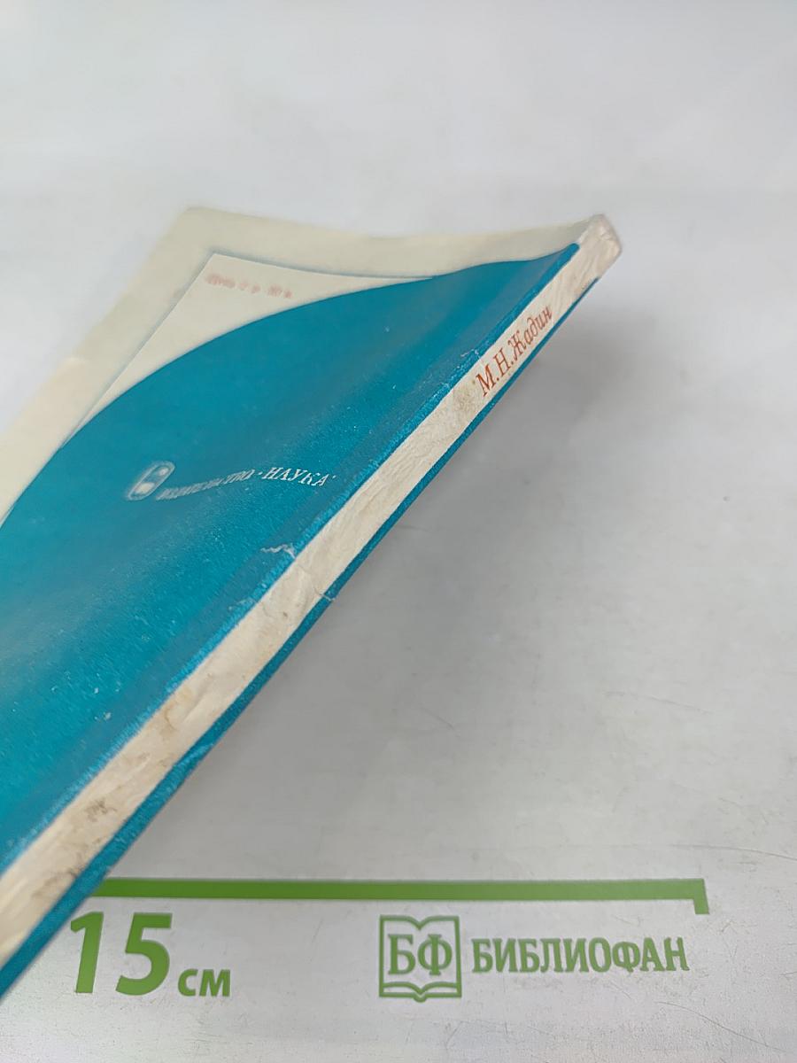 Биофизические механизмы формирования электроэнцефалограммы