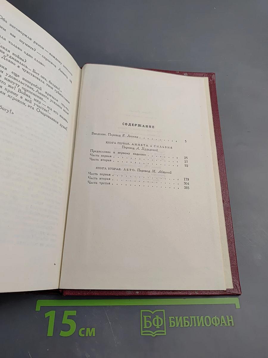 Собрание сочинений. Том восьмой. Очарованная душа. Книги первая и вторая