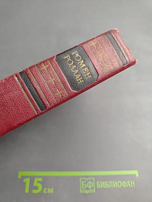 Собрание сочинений. Том восьмой. Очарованная душа. Книги первая и вторая