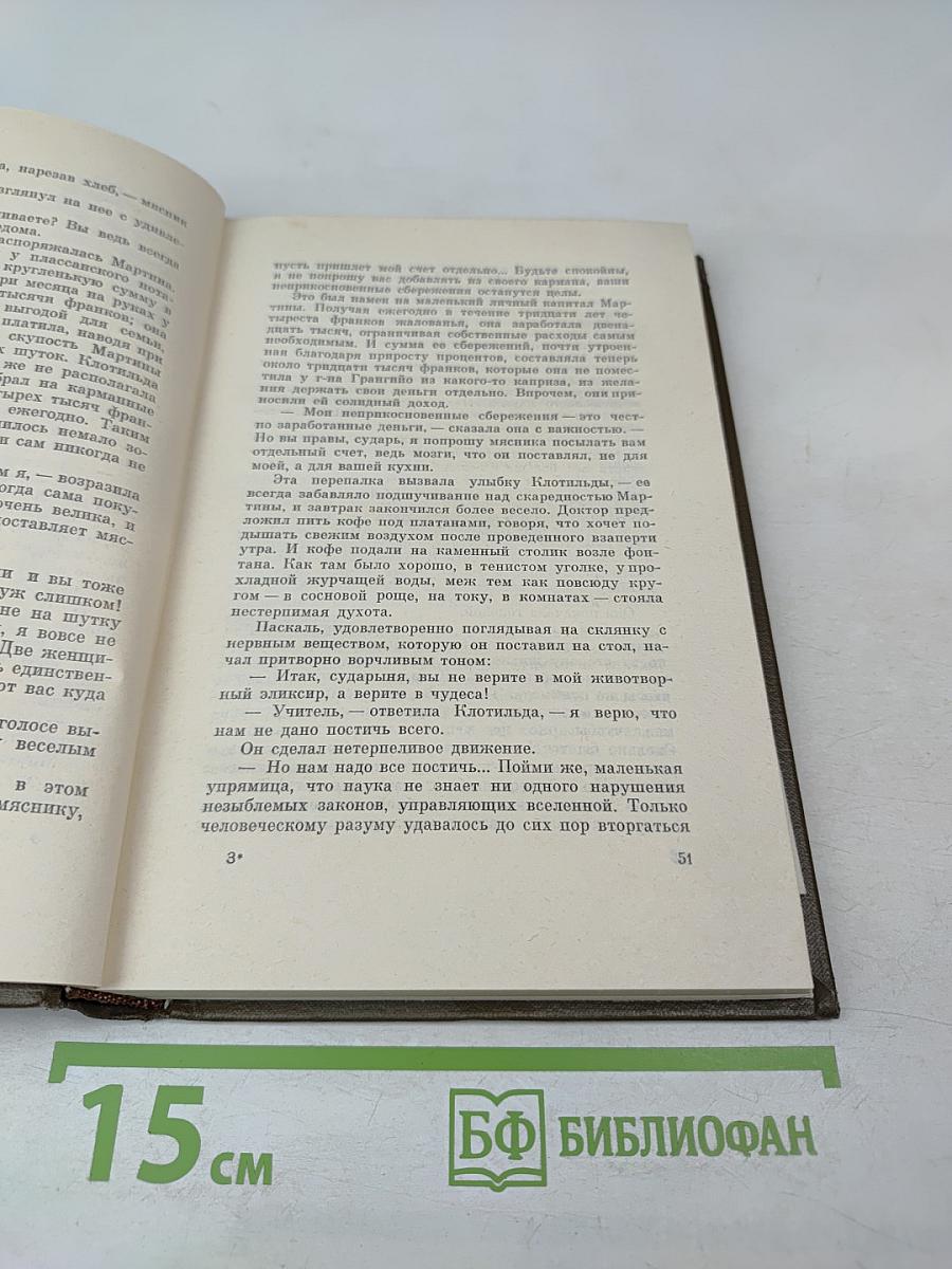 Собрание сочинений. Том 16. Доктор Паскаль (Ругон-Маккары)