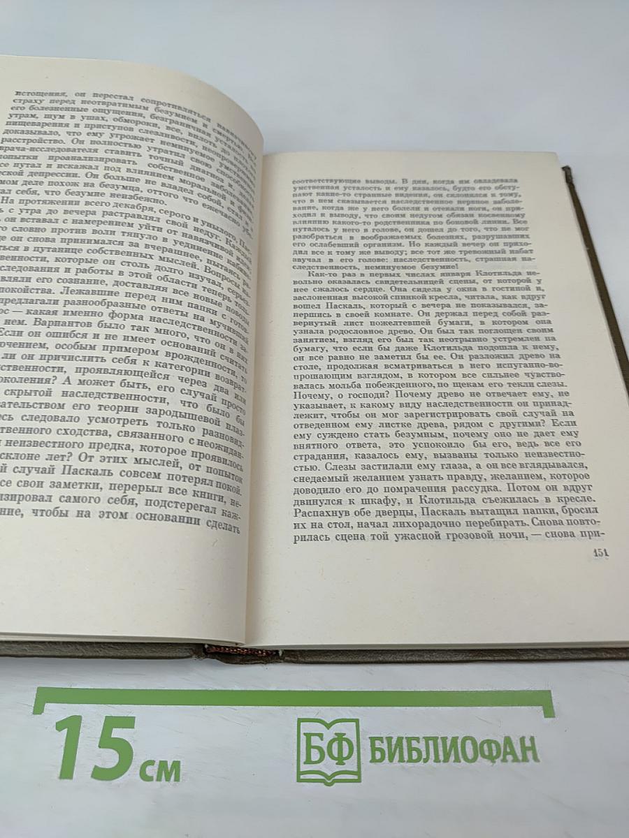 Собрание сочинений. Том 16. Доктор Паскаль (Ругон-Маккары)