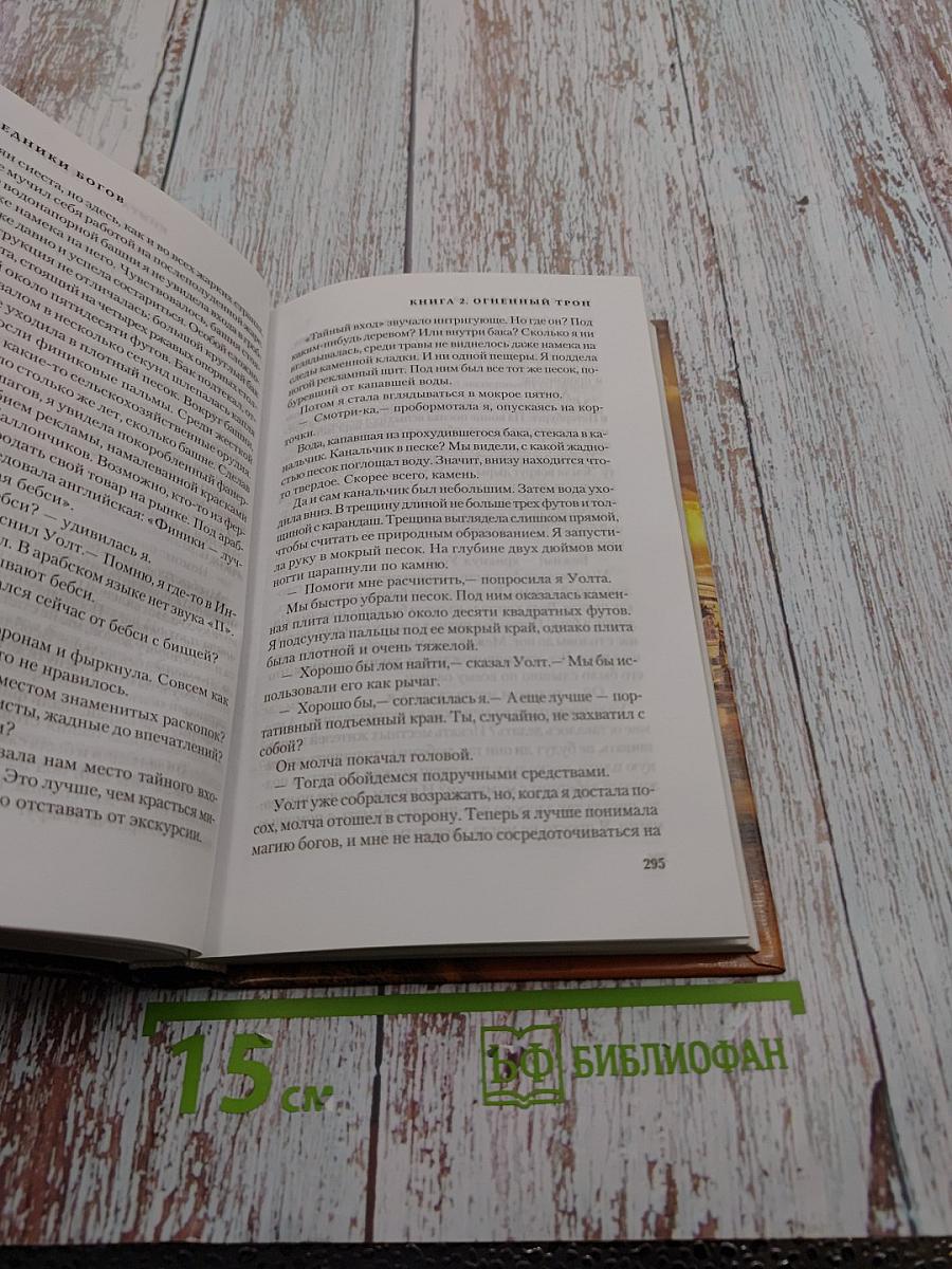 Наследники Богов. Книга 2: Огненный Трон