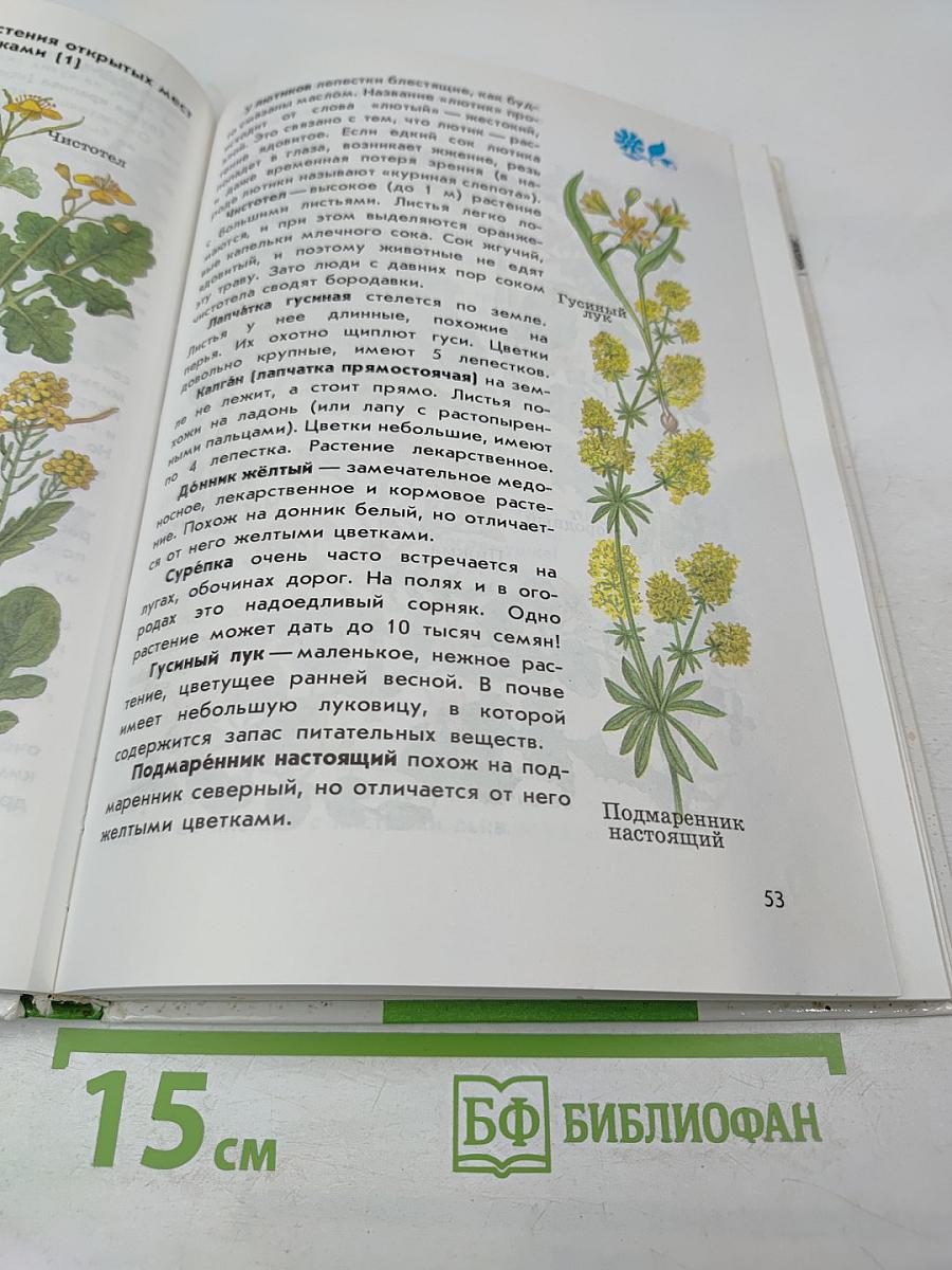 От земли до неба. Атлас-определитель для учащихся начальных классов