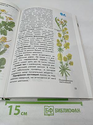 От земли до неба. Атлас-определитель для учащихся начальных классов