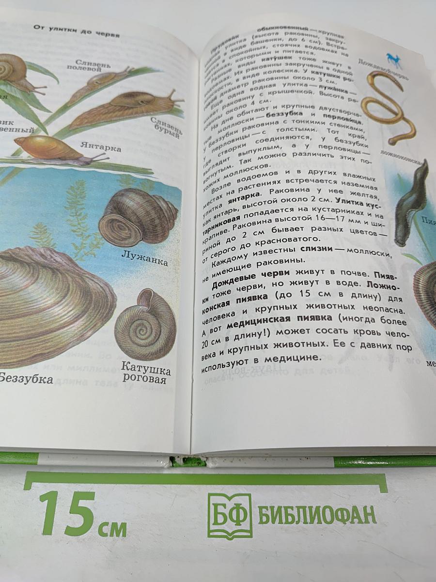 От земли до неба. Атлас-определитель для учащихся начальных классов