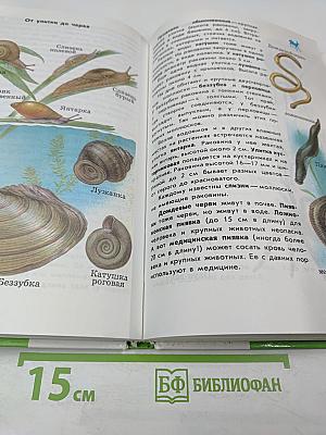 От земли до неба. Атлас-определитель для учащихся начальных классов