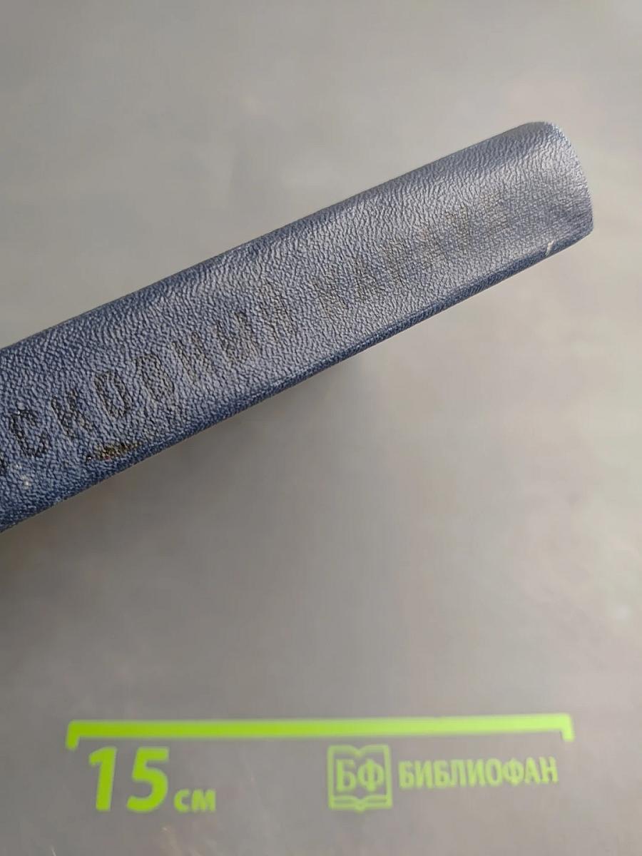 Подмосковный караул