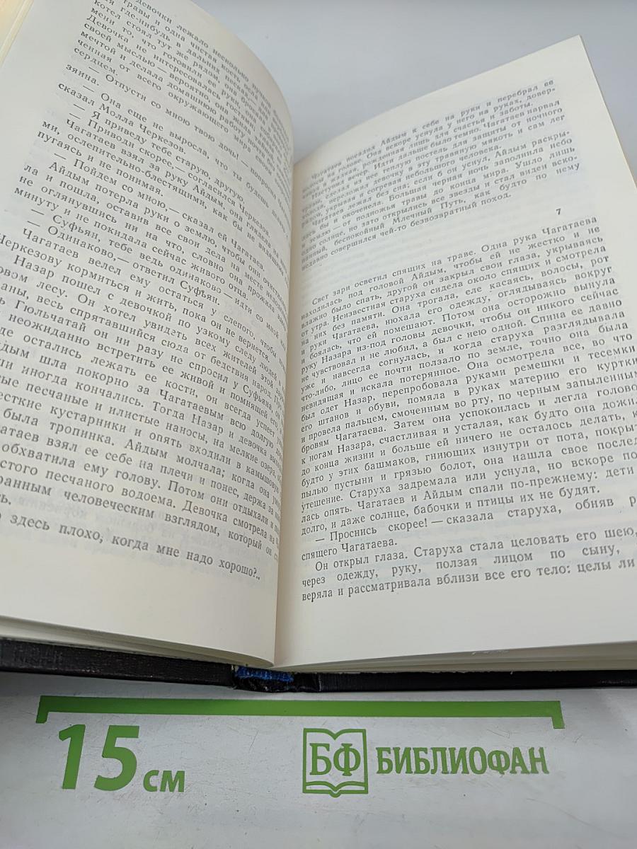 В прекрасном и яростном мире. Повести. Рассказы
