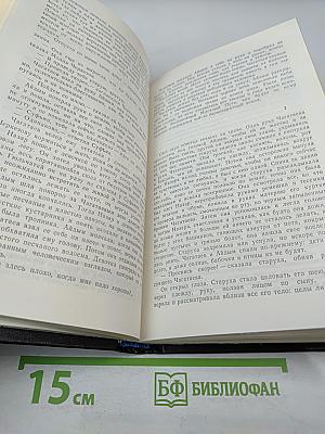 В прекрасном и яростном мире. Повести. Рассказы