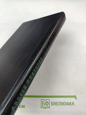 В прекрасном и яростном мире. Повести. Рассказы