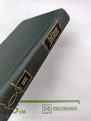 Торговый дом Домби и сын (Главы XXXI-LXII). Том 14 собрания сочинений