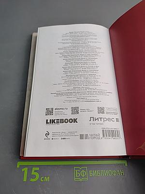 Зимняя бегония. Том I