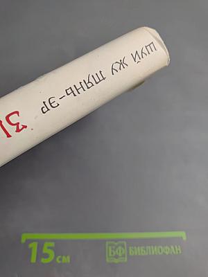 Зимняя бегония. Том I